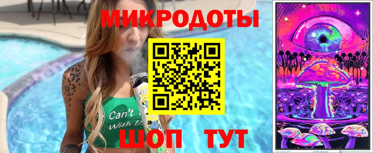 Псилоцибиновые грибы Psilocybine cubensis Карталы